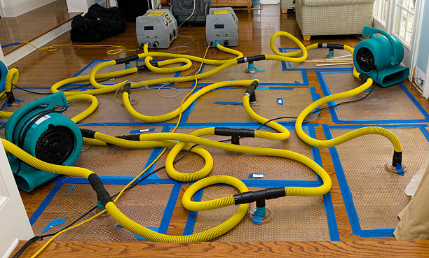 Professional Water Damage Repair technician working in Finland, MN